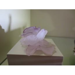 Daum Crystal Roses Fiore in Cristallo 10,5 cm Rosa 02767-1