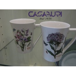 Portmeirion Botanic Garden Set 2 Mug with handle