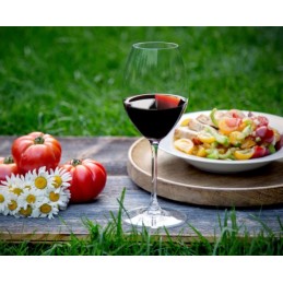 Riedel Vinum Tempranillo Glass Set 2 Pcs 6416-31