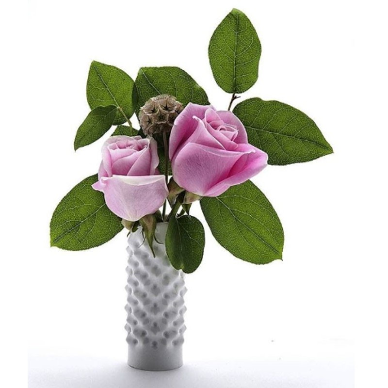 Rosenthal Vaso Blown 27 cm