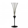 Versace Rosenthal Medusa Lumiere Haze Flute Champagne