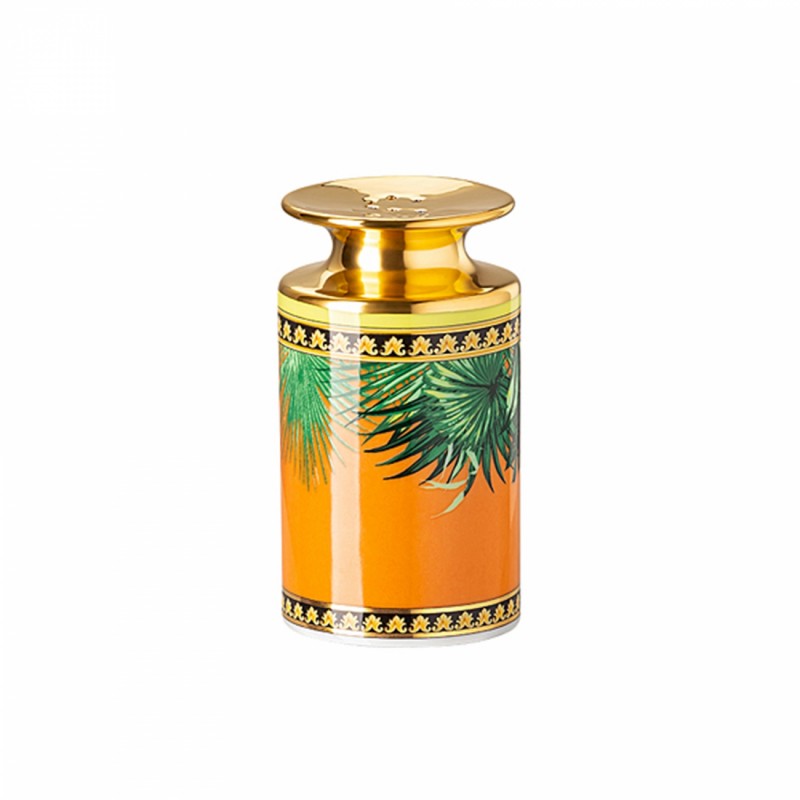Versace Rosenthal Jungle Animalier Spargisale